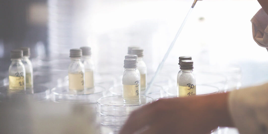 Blog - Malee Natural Science