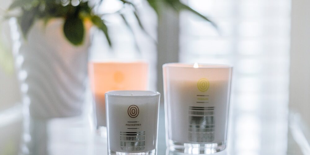 Aromatherapy-with-candles-Malee-Natural-Science Aromatherapy with candles Malee Natural Science, Set on a glass table, a lighted 220ml Verdure Soy Candle, a ceramic pot of green indoors plant and a 220 Polyanthes Soy Candles