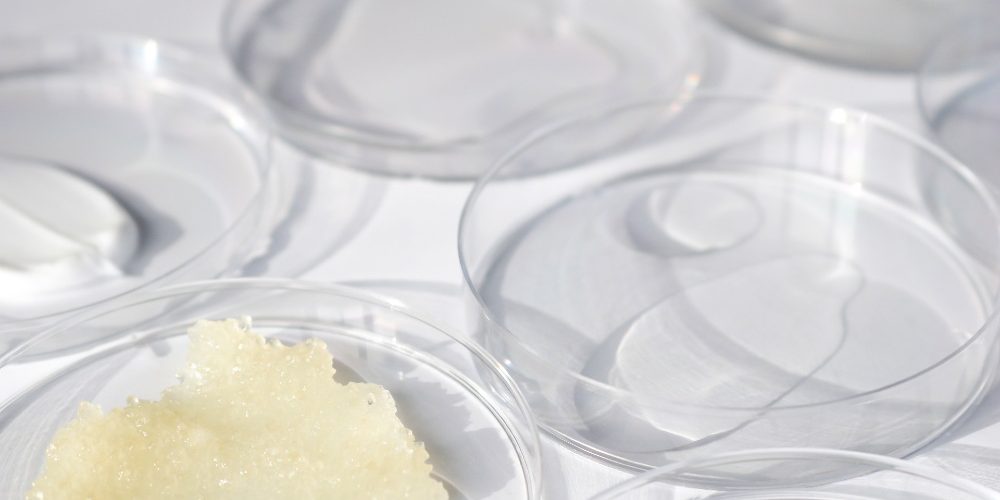 Lip balm for On a white background, clear testers of Malee 250ml Conditioning Body Scrub, 200ml Verdure Conditioning Body Cream and 100ml Verdure Moisturising Body Oil